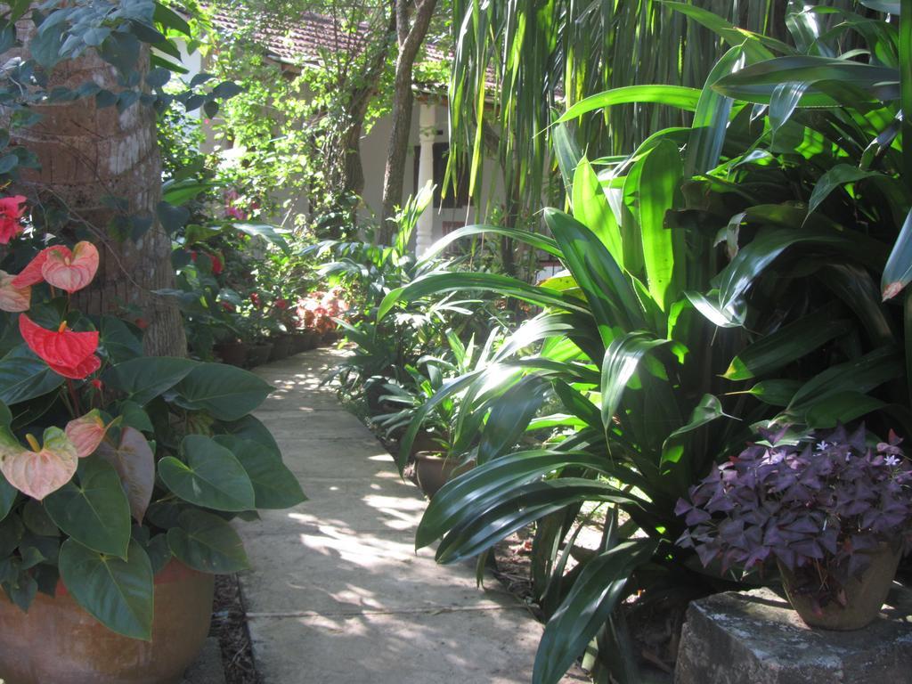 Peacock Land Hotel Tangalle Exterior foto